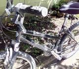 Bicicleta Montañesa Diamonback Shok Dela