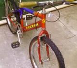 Remato Bicicleta Tigrillo Vecesa