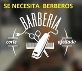 Busco Barbero