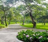 Jardin perpetuo en Camposanto Jardines de la Asución!!!!!!!